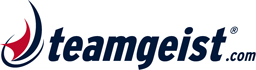 Teamgeist Logo