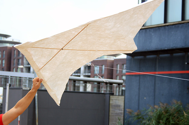 Drachenbau-drachenbau.jpg-Braunschweig