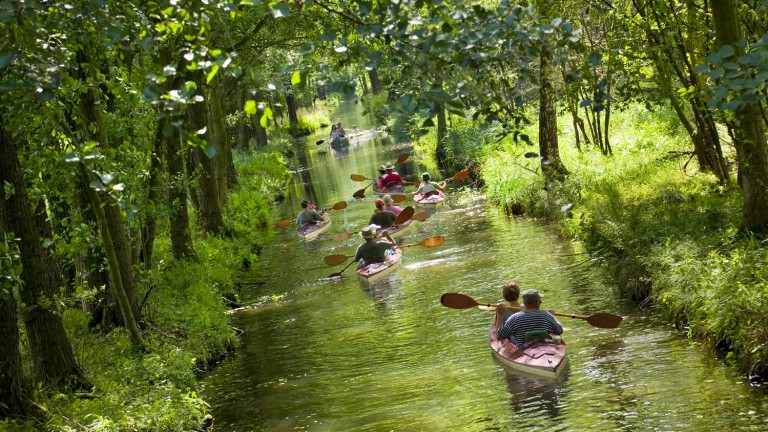 Spreewald Brandenburg