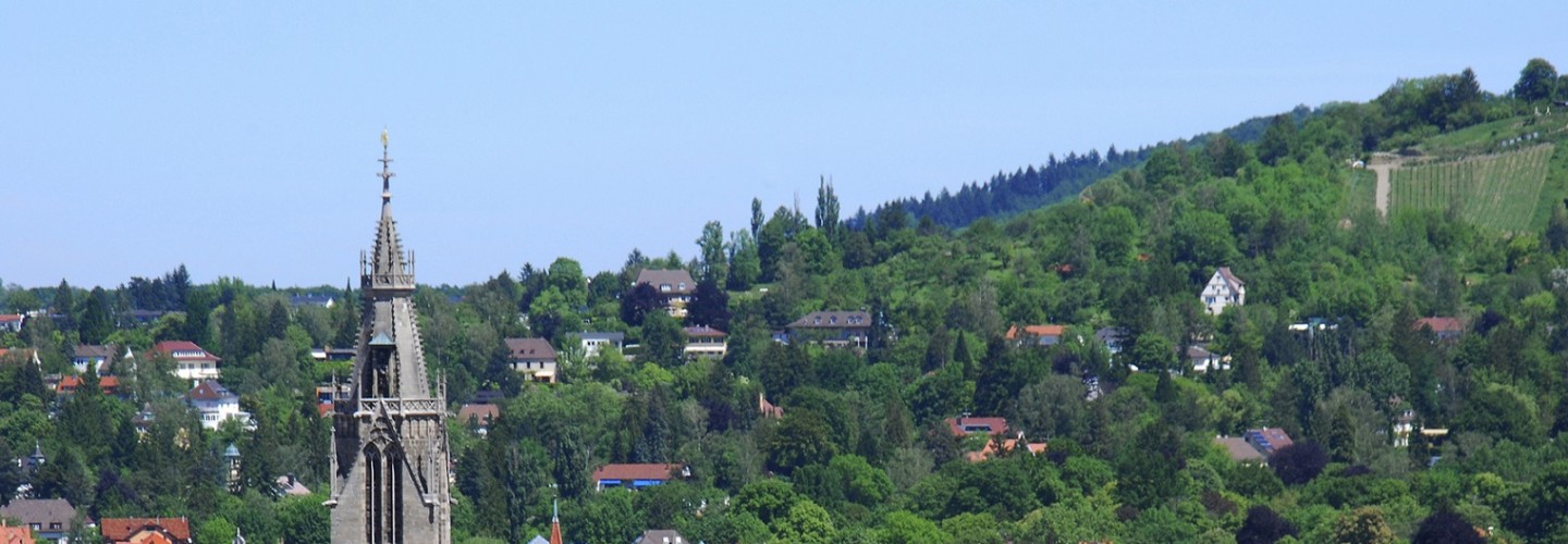 Reutlingen Panorama