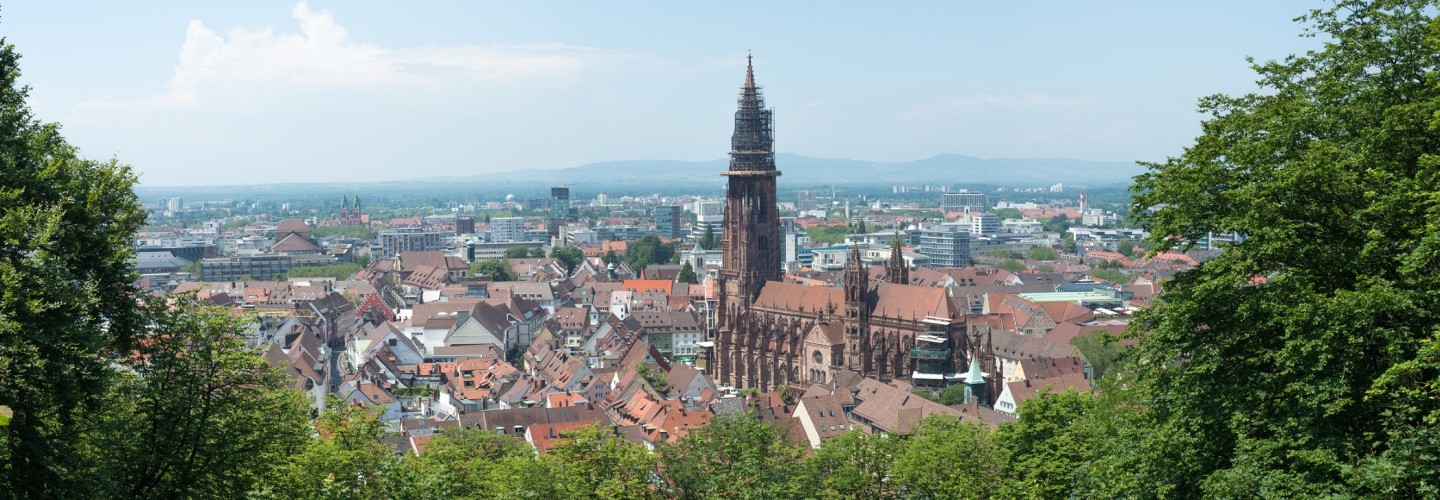 Freiburg mit Freiburger Münster