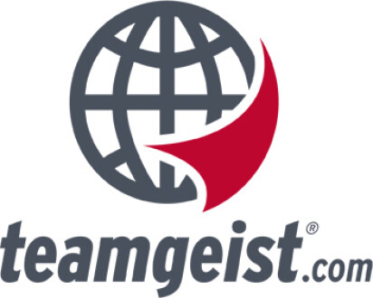 teamgeist Logo