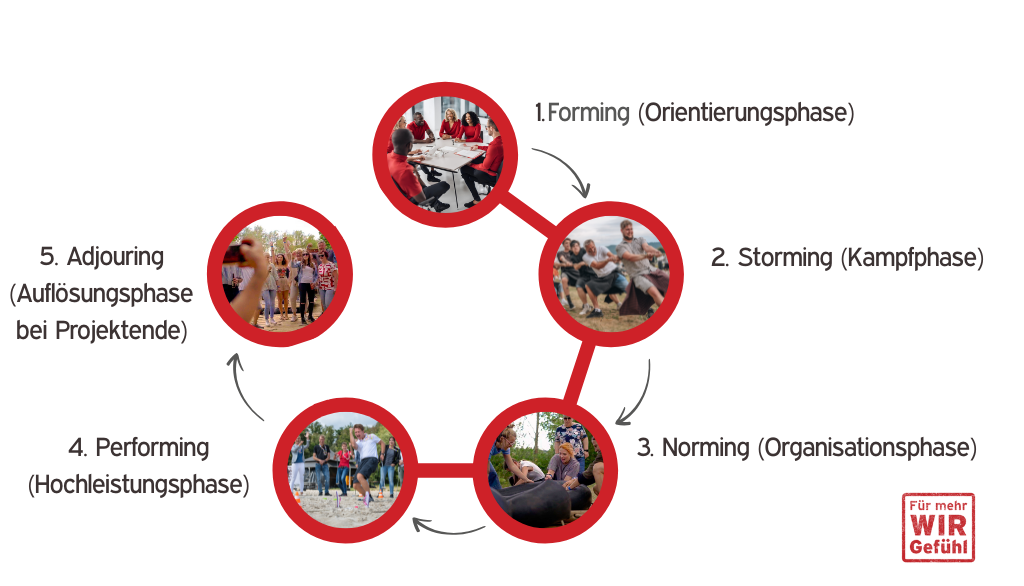 Schaubild mit der Teamentwicklung nach dem Phasenmodell von Bruce Tuckman
