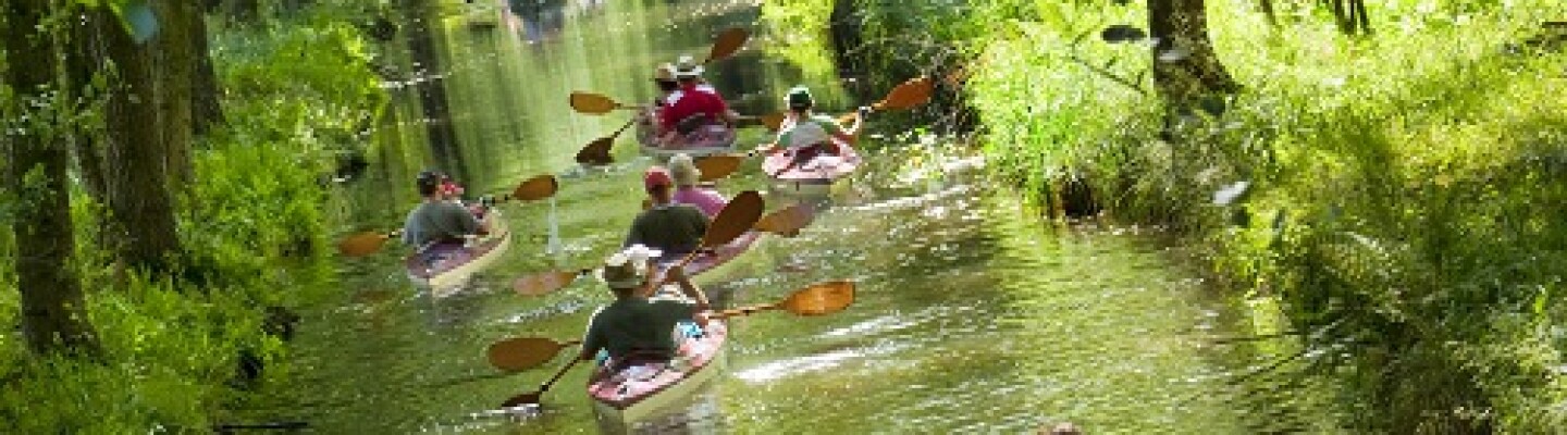 Spreewald Brandenburg