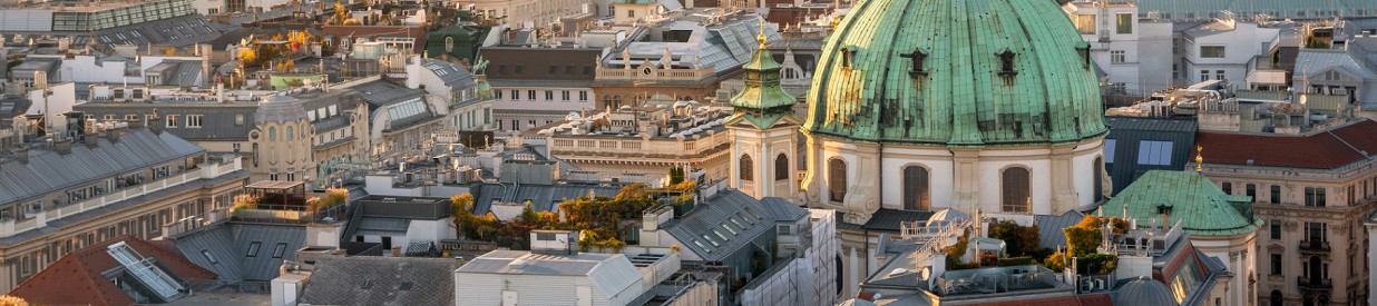 Wien Skyline mit Stephansdom